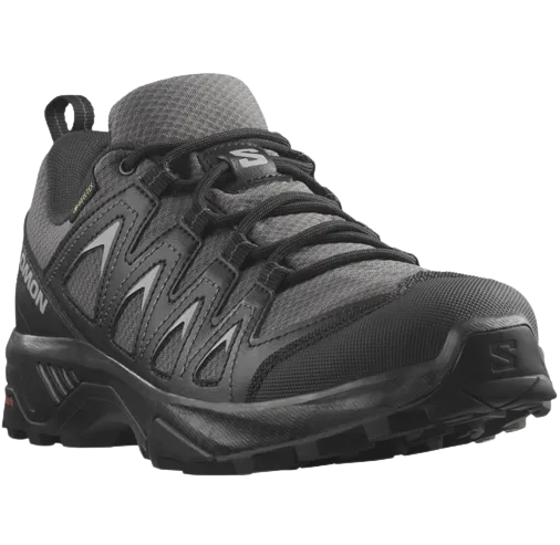 Salomon Womens X Braze GTX